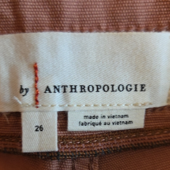 NEW Anthropologie The Wanderer cargo pants in a dusty pink/mauve color Size 26 - Picture 7 of 9
